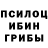 Псилоцибиновые грибы GOLDEN TEACHER Oliver Galmond
