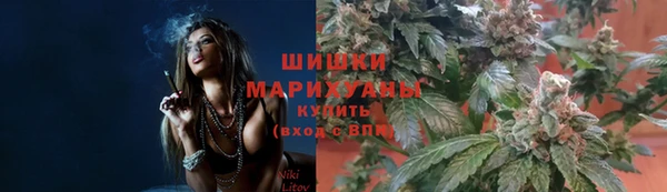 гидропоника Абаза